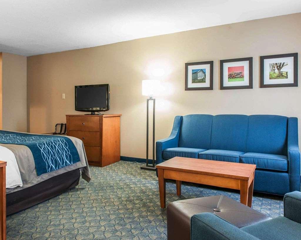 Comfort Inn & Suites Napoleon Værelse billede